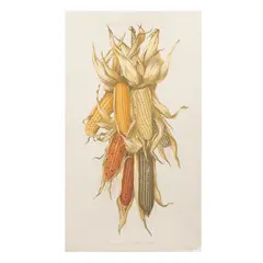 Juan Calderón, Para esquites, atoles y pinoles, Serigrafía P / T