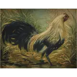 Retrato de Gallo, MÉXICO, SIGLO XX, Óleo sobre tela