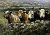 Philip Childs, Greeting from Mt. Leinster II, Oil on Board