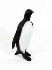 Colm Brennan, Penguin, Unique Bronze