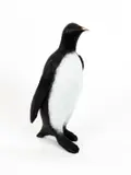 Colm Brennan, Penguin, Unique Bronze