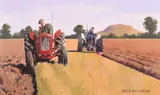 Gregory Moore, Tough Competition, Oil on Board