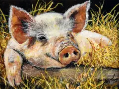 Andy Saunders, Having a snooze, Oil on Board