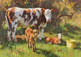 Donal McNaughton, Spring Calves, Oil on Board