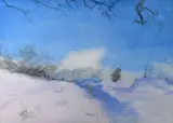 Tom Carr, Shadows of an Oak, Watercolour