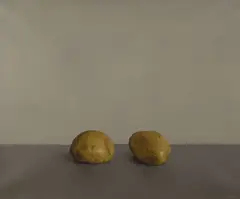 Comhghall Casey, Two Potatoes, Oil on Linen