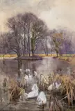 Mildred Ann Butler, Water Party, Kilmurray, Watercolour on heightened white/paper