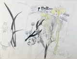 Pauline Bewick, The Kerryman, Pen and Watercolour Drawing