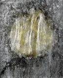 Bronwyn Casson, Moon Glow III, Mixed Media