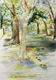 Frances Bunch Moran, Trees Raglan Road, Watercolour