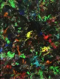 Kevin Sharkey, Untitled, Oil on Canvas Laid on Board