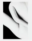 Ralph Gibson, In Situ