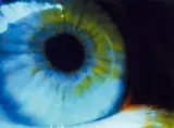 Pipilotti Rist, CLN-4711 (Blue eye), 1999, C-Print