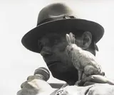 Joseph Beuys, Aus: "Photo-Editionen", Gelatinesilberabzug