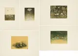 Hiroshi Asada, Konvolut von 5 Druckgrafiken, Farbaquatintaradierung auf Velin