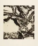 Zao Wou-ki, Auktion 422, Los 955, 1992, Aquatinta auf Japan auf ARCHES FRANCE Y (Wasserzeichen) aufgewalzt