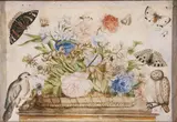 Vittorio Raineri, Still Life with Flowers, Birds, Butterflies and Insects, Watercolor on paper laid down