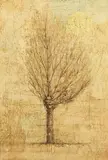 Ryōnosuke Fukui, A Lone Tree, Oil on canvas