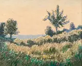 Norman Lloyd, Grassy Landscape
