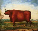 A Prize Bull by English Naïve School, Oil on canvas, offered Nov 2011
