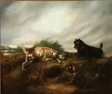 Terriers on the Scent by George Armfield, Oil on canvas, offered Nov 2011