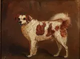 English School, Portrait of a King Charles Spaniel