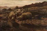 William Preston Phelps, Sheep Grazing, Oil on canvas