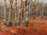 József Csillag, Woman Gathering Wood Amongst Birch Trees, Oil on canvas (unframed)