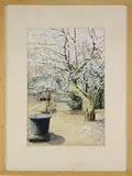 Fujio Yoshida, The Flowering Tree, Watercolor scene shows a large pink & white flowering tree in a garden courtyard