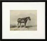 C. Hubbard, The Work Horse, Watercolor portrait of a standing workhorse