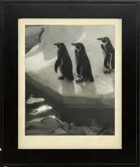 Eleanor Parke Custis, Penguins Three, Bromide photographic print shows three penguins on a simulated ice flow with water. Pencil signed and titled on matte