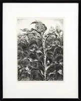 John Steuart Curry, The Cornfield, Pencil signed lithograph from an edition of 25, 1935