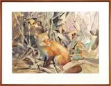 Betty Lou Schlemm, The Red Fox, Watercolor wildlife scene shows a seated red fox amongst bushes