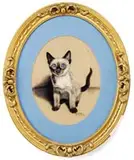 Gladys Emerson Cook, Blue-Eyed Kitten, Pastel portrait of a seated cat looking straight at viewer, white and gray color with bright blue eyes