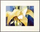 Edward Minchin, Leaf Arch, Watercolor scene shows several yellow leaves and stems against a blue background