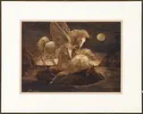 Charles J. Burdick, Unicorns in the Moonlight, Watercolor fantasy scene shows two unicorns on a rock surrounded by water under a moonlit sky