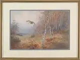Roland Green, Woodcock in Flight, Fine watercolor wildlife scene shows a woodcock flying over a clearing with fall foliage