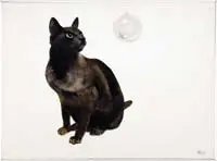 Elizabeth Ruggles, Reflection on the Crystal Ball, Oil on canvas scene shows a seated black cat with blue eyes staring into a clear glass ball with his reflection