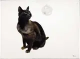 Elizabeth Ruggles, Reflection on the Crystal Ball, Oil on canvas scene shows a seated black cat with blue eyes staring into a clear glass ball with his reflection