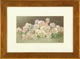 Percy A. Sanborn, Still Life of Orchids, Watercolor still life shows white, pink and violet flowers having green stems against a green and gray background