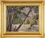 Marion Wachtel, California View Through the Trees