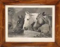Alexander Hay Ritchie, Three Members of the Temperance Society, Black and white print shows three horses drinking at a water trough. After a painting by J.F. Herring