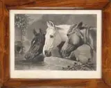 Alexander Hay Ritchie, Three Members of the Temperance Society, Black and white print shows three horses drinking at a water trough. After a painting by J.F. Herring