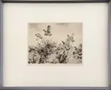Aiden Lassell Ripley, Quail, Drypoint shows six quail flushed from a grassy field. Pencil signed lower right and dated “1936”