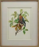 Francis Lee Jaques, Green Heron, Fine watercolor of a green heron perched on a branch with green and brown leaves
