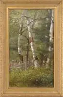 Delbert Dana Coombs, White Birches, Oil on canvas woodland scene shows a split rail fence ending at a stand of four birch trees