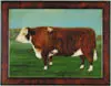 Walker Stuart Lloyd, Portrait of a Steer, Oil on board scene shows large brown and white steer on green grass