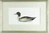 Lawrence Snyder, 1936 Ward Pintail Decoy, Hand watercolor print of a duck. Pencil signed with Limited Edition No. “136/350”