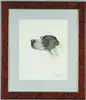 Léon Danchin, Profile of a Pointer, Colored engraving shows the head of a black and white pointer. Pencil signed
