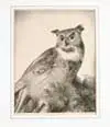 Stow Wengenroth, Great Horned Owl